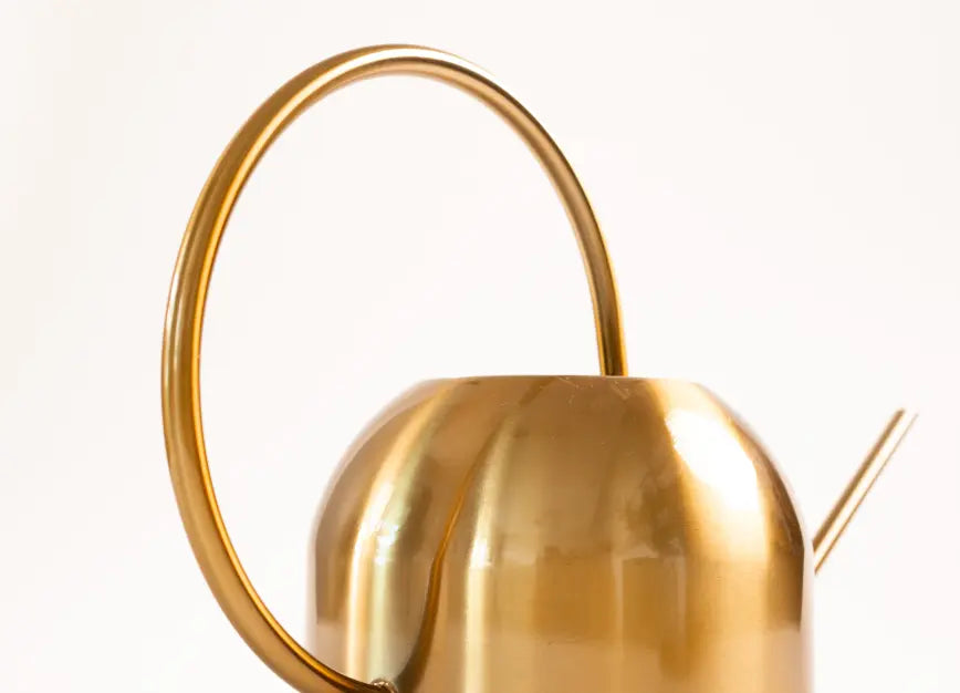 Minimal gold watering can with curved handle and modern metal finish