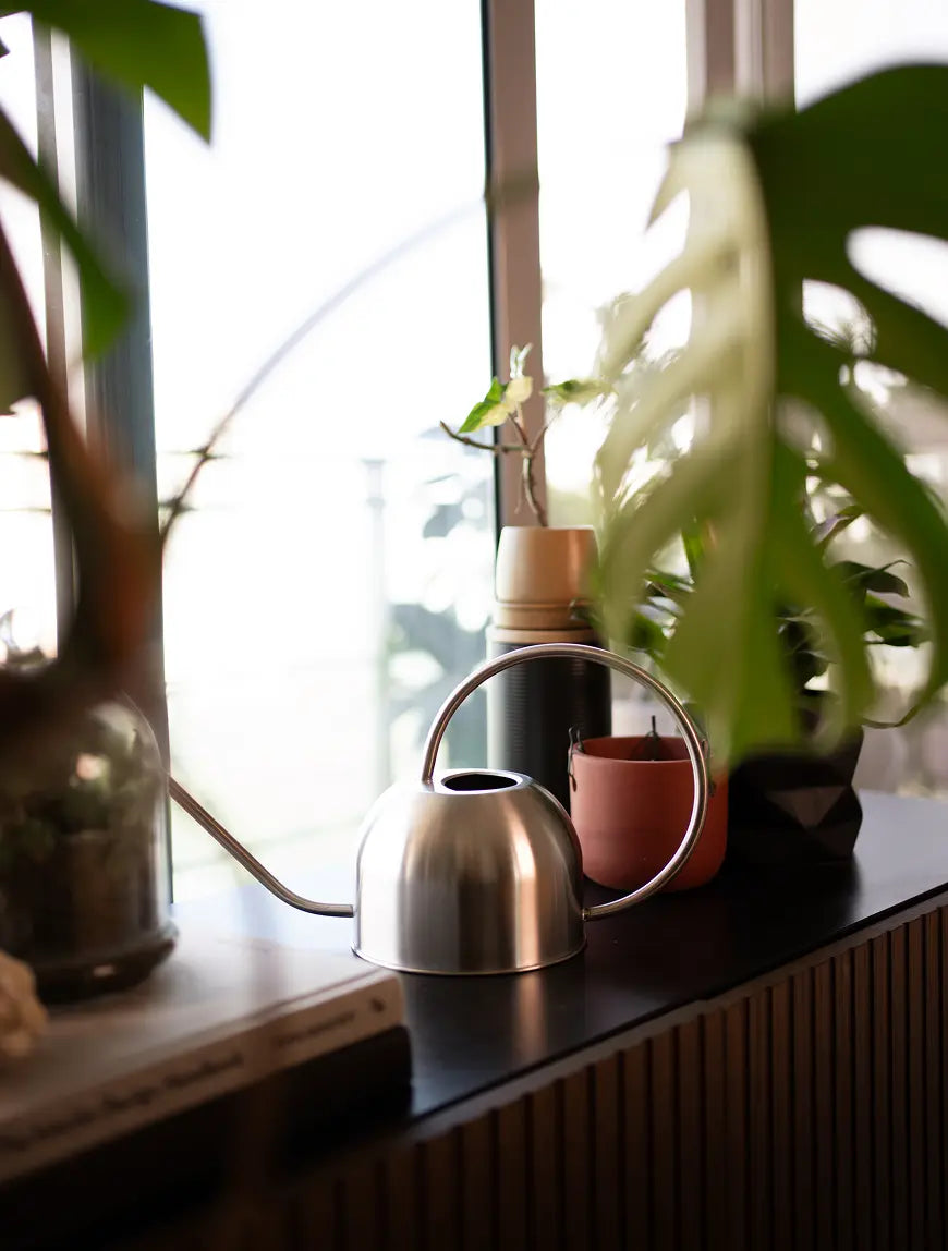 Stainless steel watering can placed beside indoor plants near window light